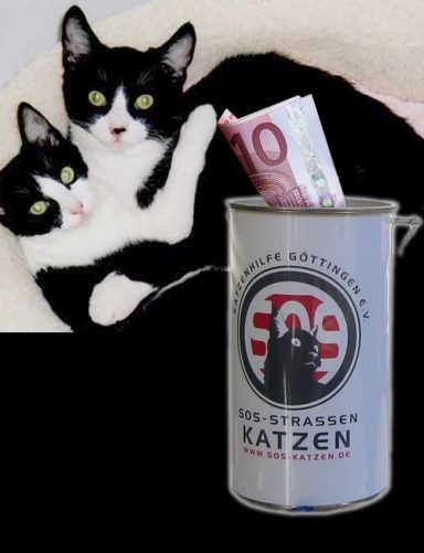 SOS-KATZEN, GÖTTINGEN