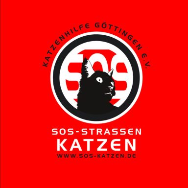 SOS-KATZEN, GÖTTINGEN